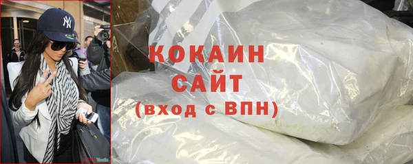 прущий лед Бородино