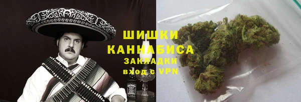прущий лед Бородино