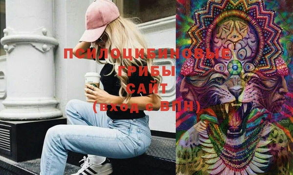 прущий лед Бородино