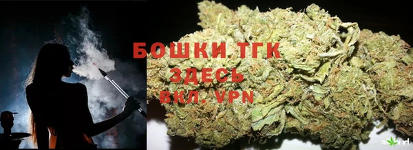 прущий лед Бородино
