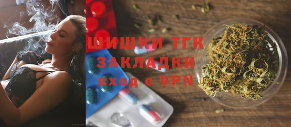 прущий лед Бородино