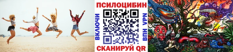 Псилоцибиновые грибы прущие грибы  Гуково 